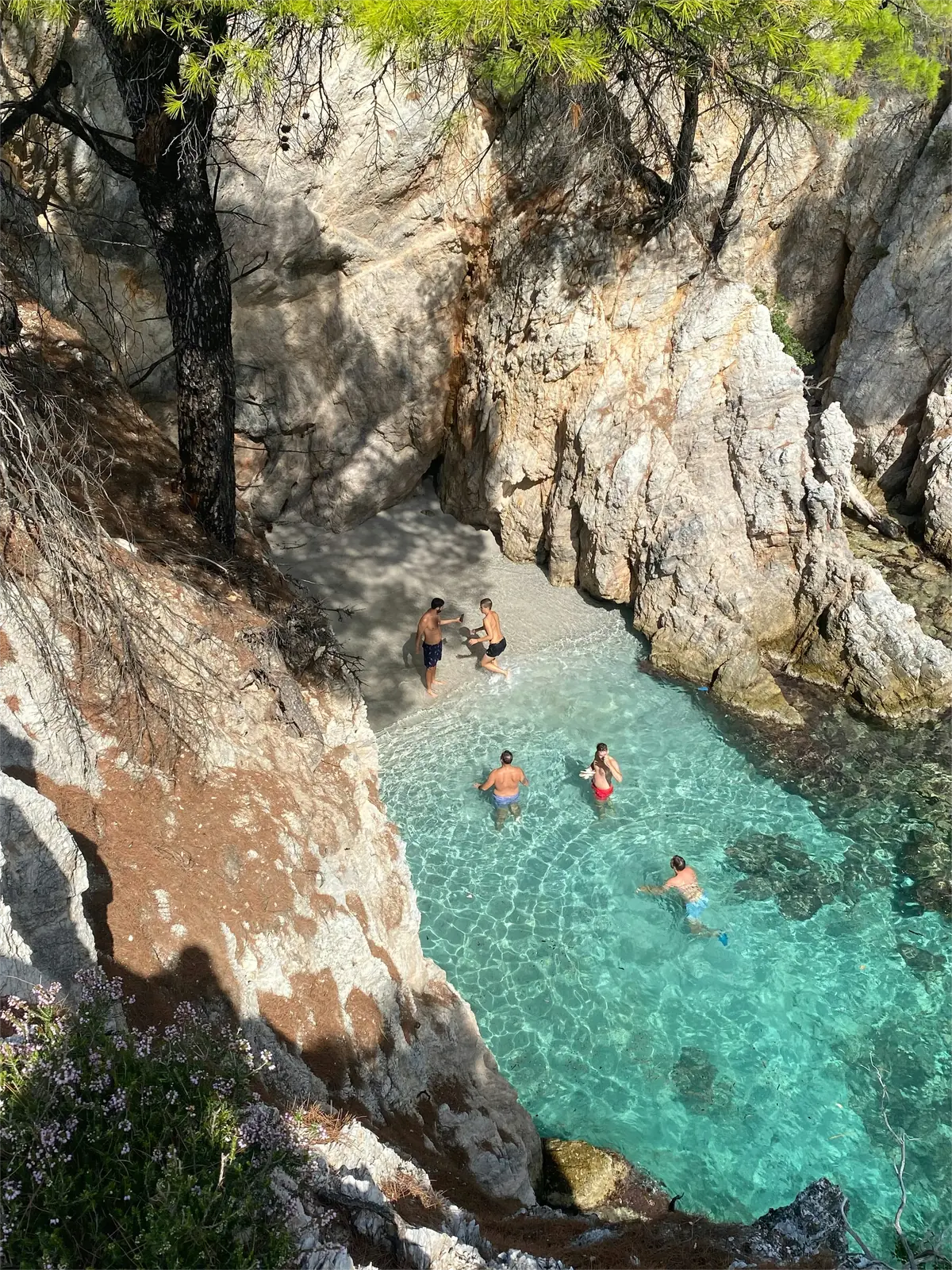 Volo Rientro