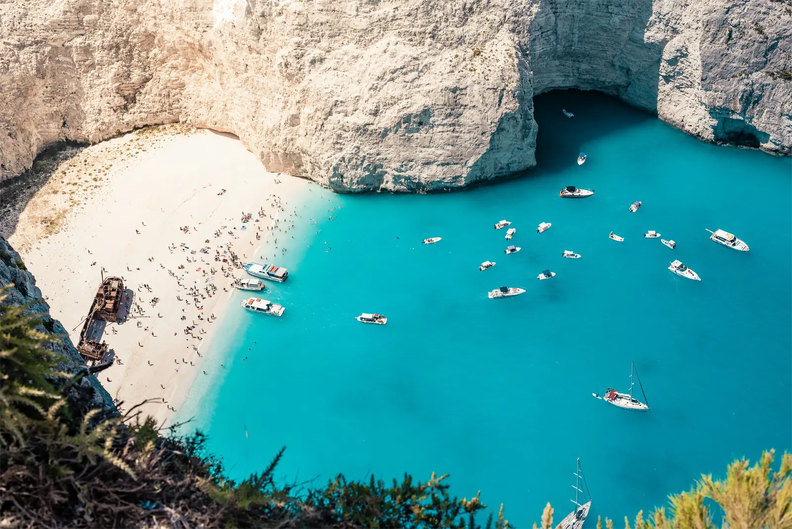 Zante